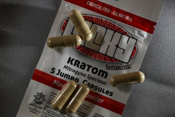 Kratom: una mortal planta prohibida en Estados Unidos que aún se vende en Chile