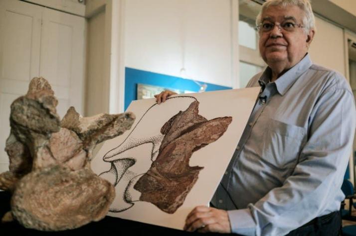 Descubren el mayor dinosaurio de Brasil, guardado desde hace 60 años