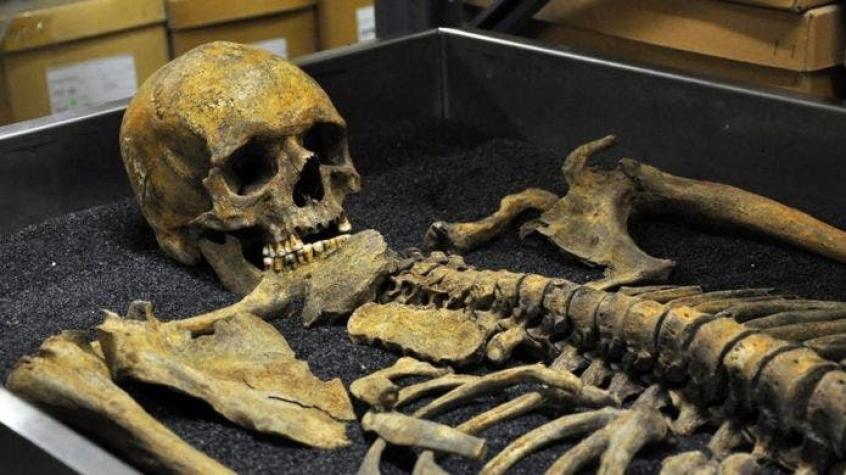 Los secretos que cuentan los miles de esqueletos almacenados bajo el Museo de Londres