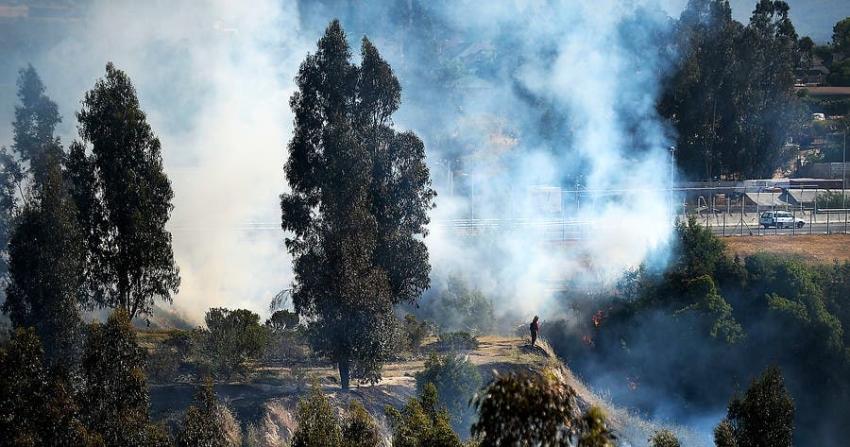 Onemi declara Alerta Roja para la comuna de Llaillay por incendio forestal