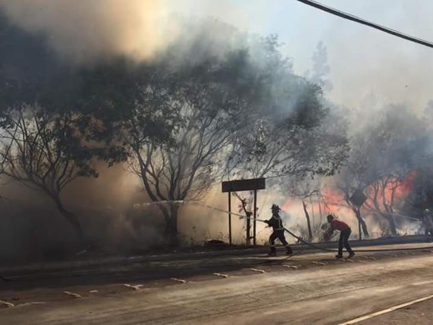 Reportan nuevo incendio en Vallenar