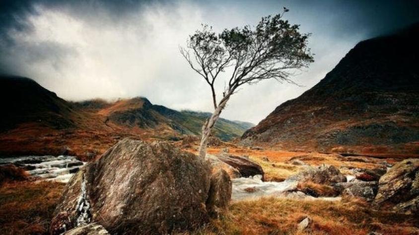 El mágico otoño de Gales que la revista Lonely Planet recomienda conocer