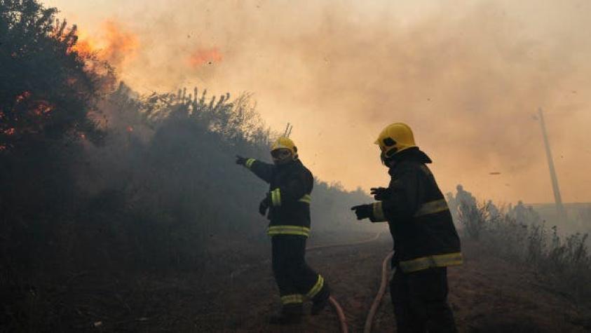 Balance Conaf: existen cinco incendios forestales activos y 19 controlados