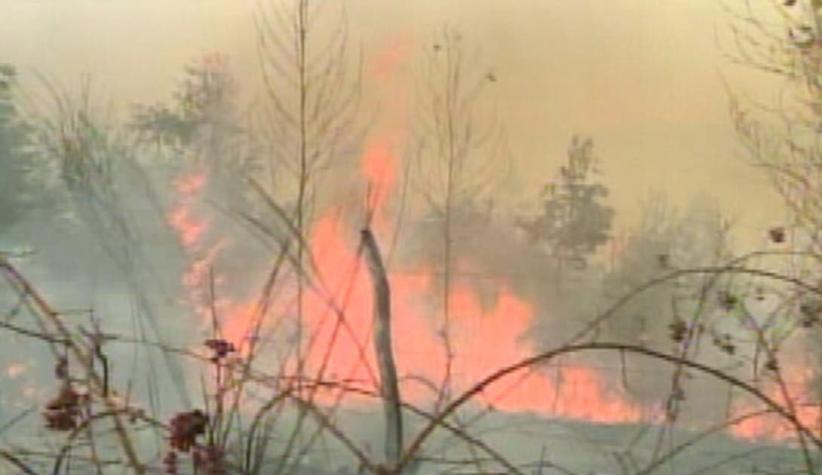 Conaf define un nuevo plan de acción para combatir los incendios forestales en el país
