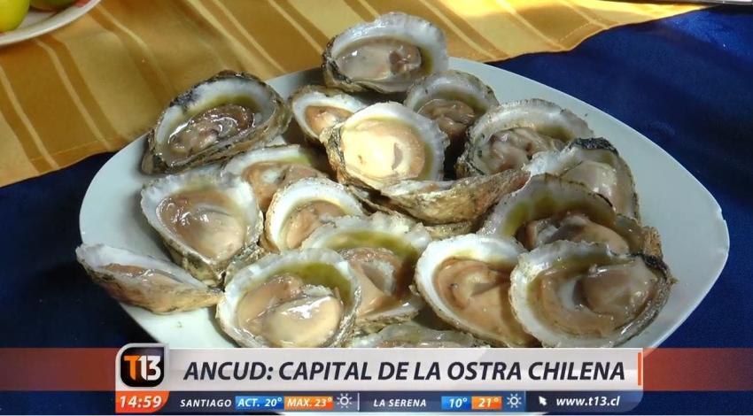 [VIDEO] Ancud: Capital nacional de la ostra