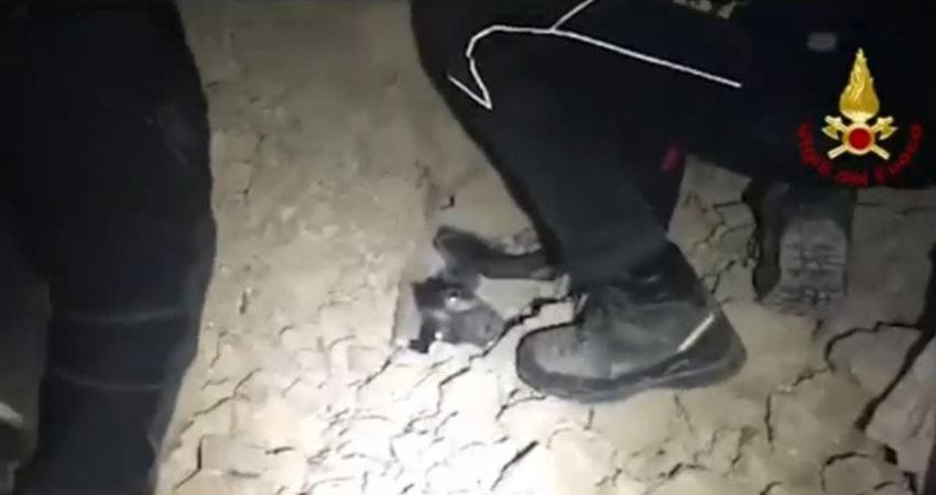 [VIDEO] Terremoto en Italia: bomberos rescatan a un perro atrapado entre los escombros