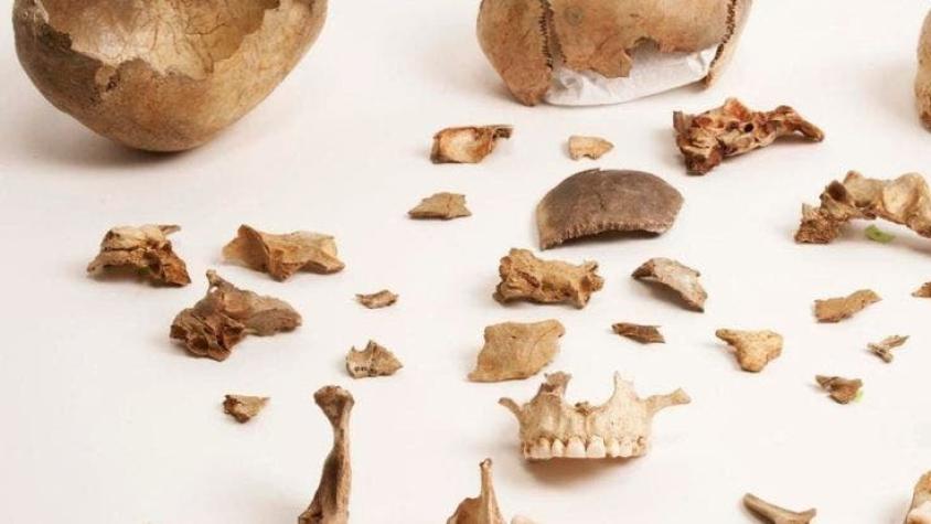 El misterio de los humanos que se comían unos a otros en la Cueva de Gough del Reino Unido
