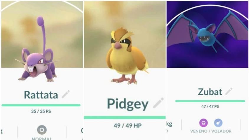 Nueva actualización de Pokémon Go hará que haya menos Zubat, Pidgey y Rattata
