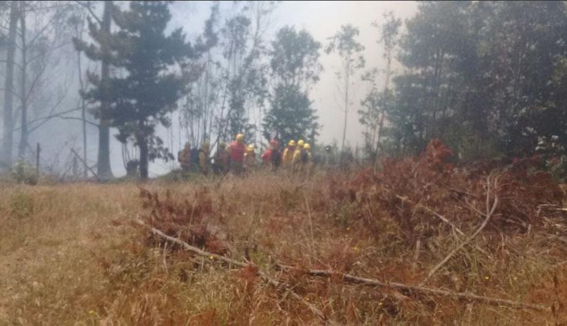 Se declara Alerta Roja para la comuna de Vichuquén por incendio forestal
