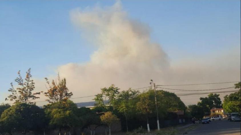 Declaran Alerta Roja para comuna de Peñaflor por incendio forestal