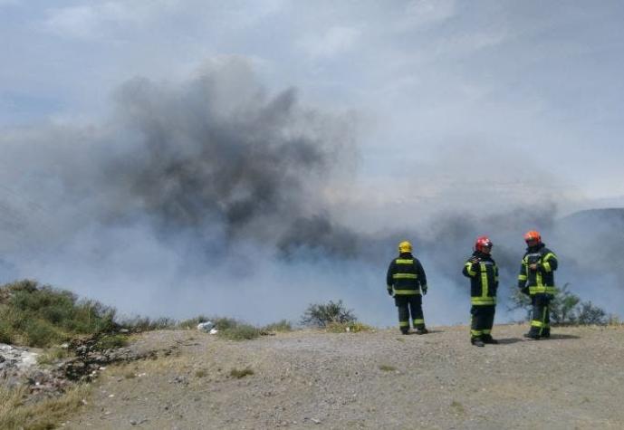 Alerta Roja en la comuna de Requínoa por incendio forestal