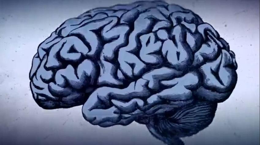 ¿Se puede prevenir el Alzheimer?