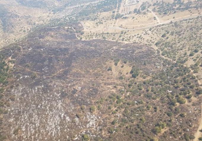 Orrego descarta peligro por incendio en Quebrada de la Plata: dentro del día se debería controlar