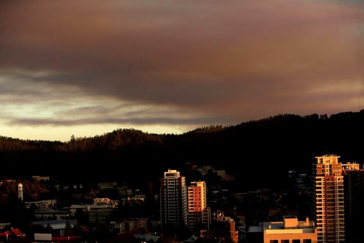 Onemi: se registran 17 incendios forestales activos a nivel nacional