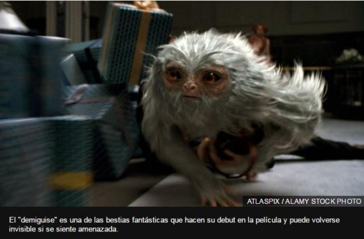 Criptozoología: la ciencia detrás de los animales fabulosos de la nueva película de Harry Potter
