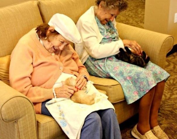Un hogar de ancianos da motivación y estímulo a sus residentes con… gatitos