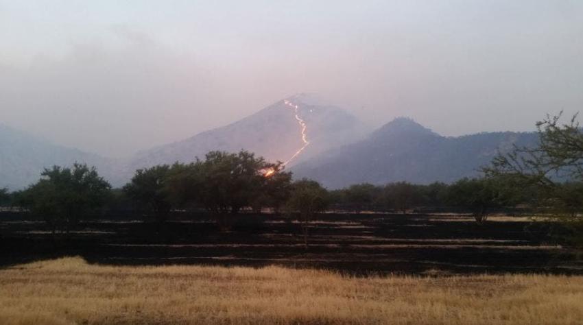 Incendio forestal afecta el 70% de la superficie del Santuario Quebrada de la Plata