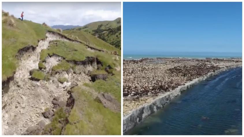 Terremoto levantó 6 metros el lecho de una playa en Nueva Zelanda