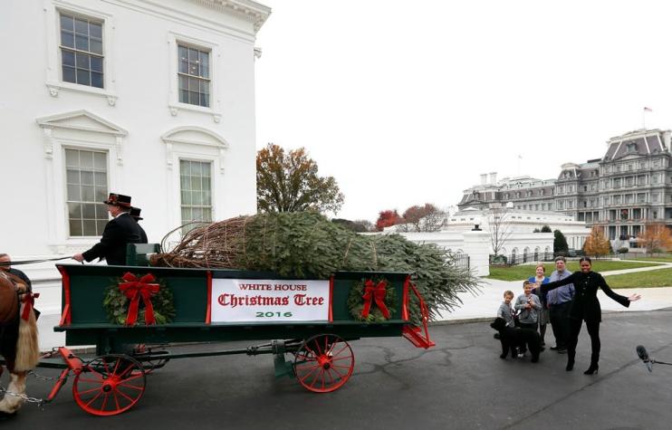 Michelle Obama recibe su último árbol de navidad en la Casa Blanca