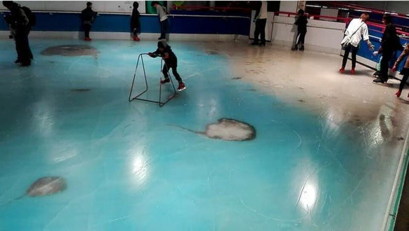Cierran pista de patinaje que congeló 5.000 peces como decoración