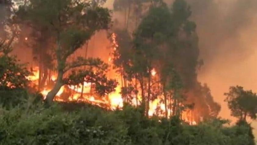 Incendios forestales: investigan a posible pirómano
