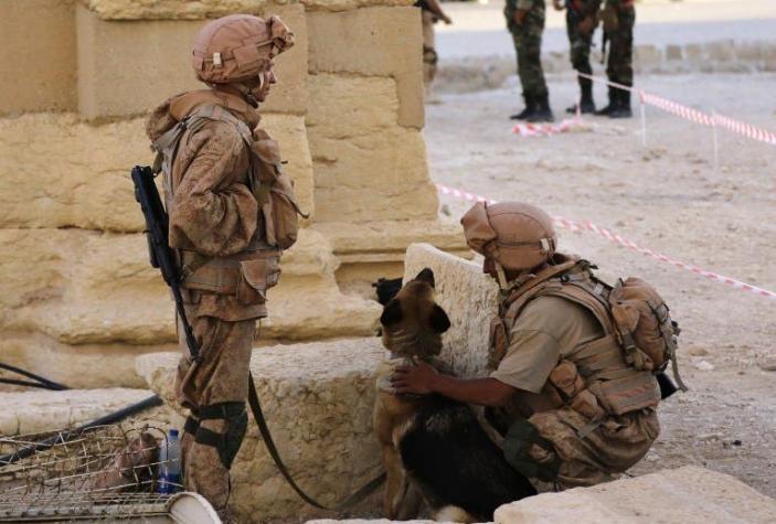 Estado Islámico se retira de Palmira tras violentos bombardeos rusos