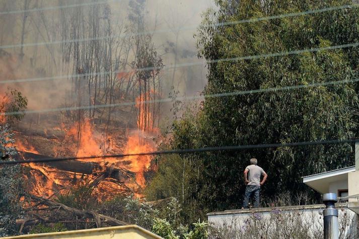 Incendios en Viña del Mar: dos casas destruidas y 100 viviendas evacuadas