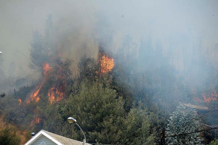 Incendios forestales: se mantiene alerta roja en 10 comunas del país