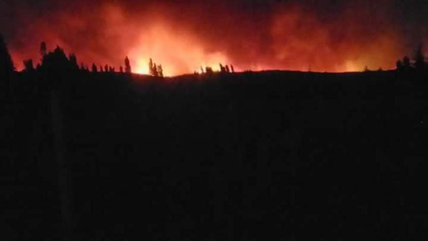 Incendio forestal en Paredones destruye 14 viviendas y obliga a evacuación