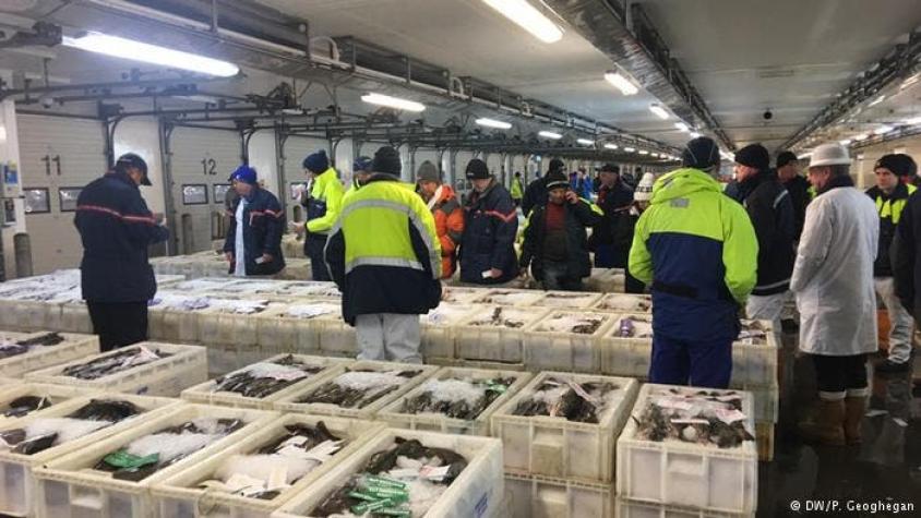 UE logró acuerdo sobre reparto de pesca en Atlántico en 2017