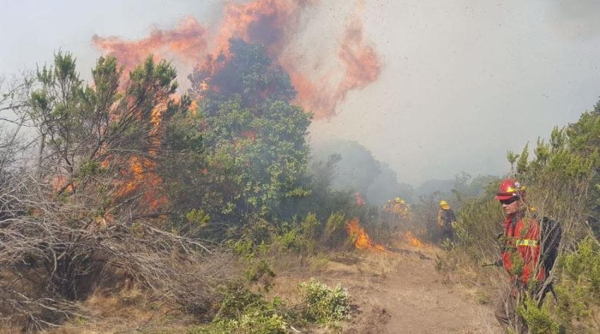 Intendencia de Valparaíso decreta Alerta Roja para San Antonio y Quintero por incendios forestales