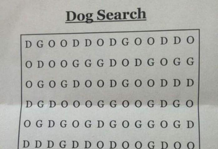 Desafío viral: ¿puedes encontrar la palabra DOG en esta sopa de letras?