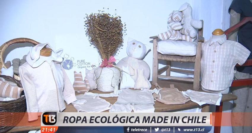 [VIDEO] Emprendedora crea ropa ecológica de algodón orgánico