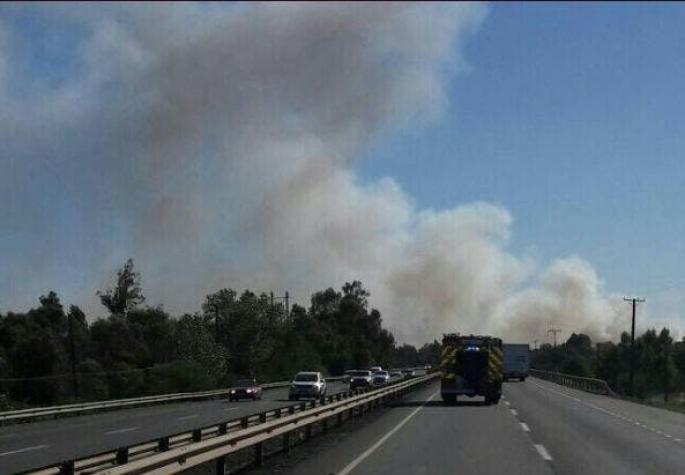 ONEMI declara alerta roja en Chillan Viejo debido a un nuevo Incendio Forestal