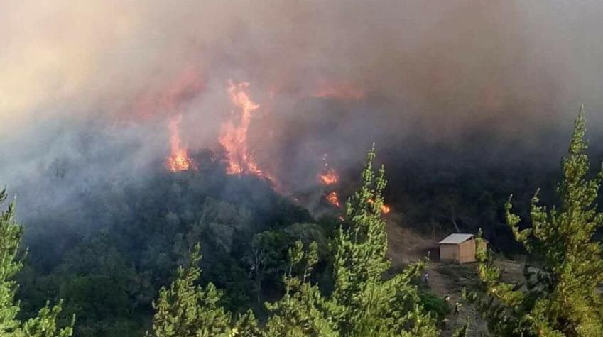 Autoridad pide la evacuación de 20 viviendas por incendio en Bucalemu