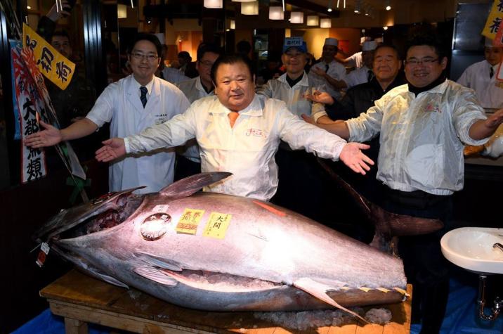 Subastan en 600.000 dólares el primer atún de 2017 en Japón