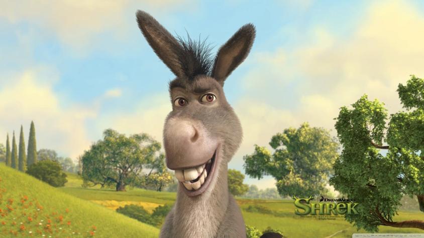 O BURRO JÁ FOI UM HUMANO?? - Teoria Shrek 