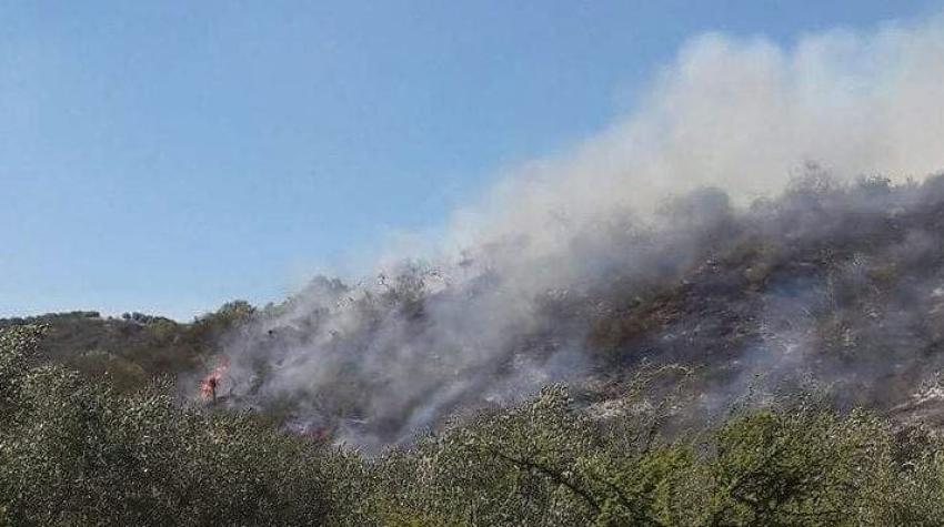 Se cancela Alerta Amarilla y declara Alerta Roja para la comuna de Santa Cruz por incendio forestal