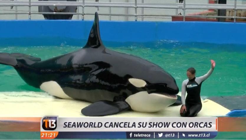 [VIDEO] Seaworld cancela su show con orcas de forma definitiva