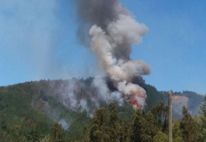 Carabineros confirma que incendio en Vichuquén deja al menos tres brigadistas de Conaf muertos