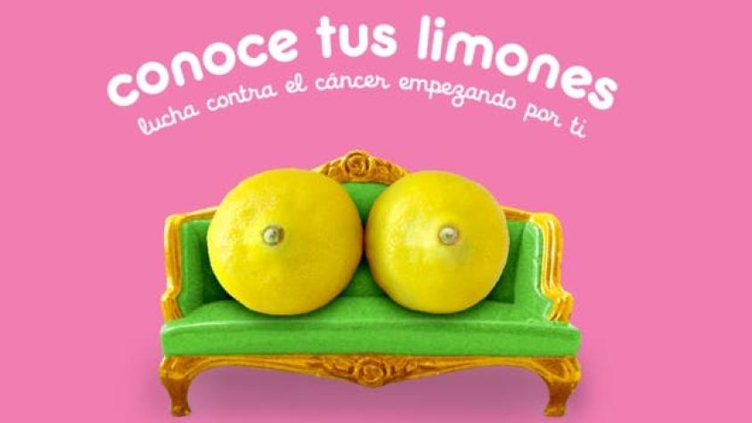 Los limones que ayudan a entender las señales del cáncer de mama