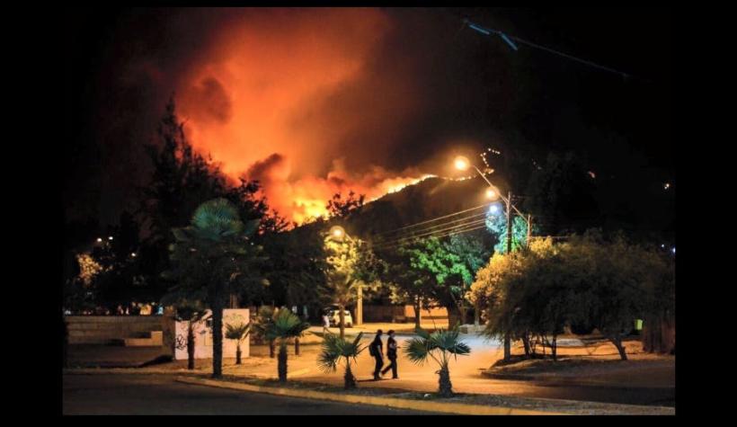 Incendio forestal en Pirque amenaza a viviendas