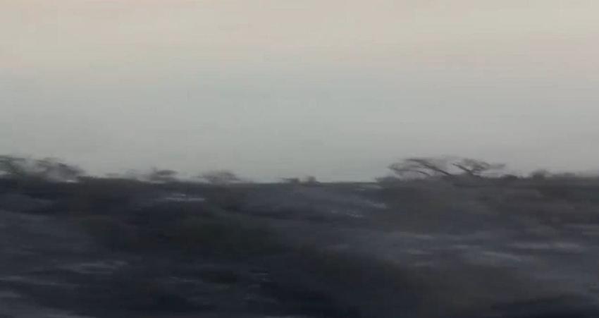 [VIDEO] Rescatan en helicóptero a personas aisladas por incendio forestal en Pirque