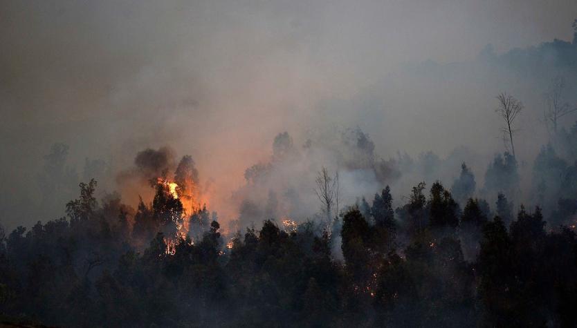 Incendios forestales han consumido más de 47 mil hectáreas en el país