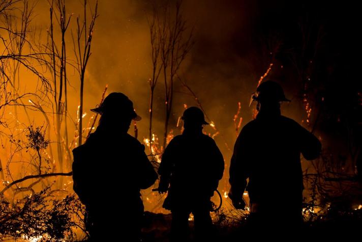 Gobierno decreta Estado de catástrofe en zonas afectadas por incendios