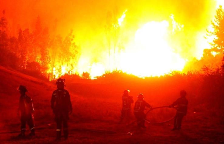 Alcalde de Vichuquén por incendios forestales: "Acá se vive un infierno"