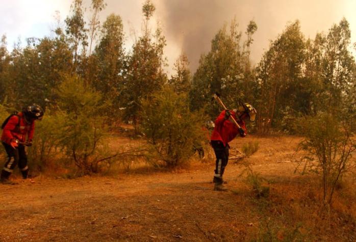 Gobierno evalúa nuevas querellas por incendios forestales