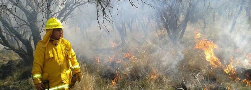Los incendios forestales también afectan a Mendoza