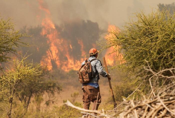 Incendios forestales: van 21 detenidos desde el 1 de enero