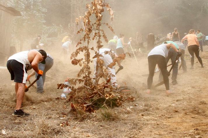 #JóvenesXElSur: Lanzan campaña para que jóvenes ayuden como voluntarios tras incendios
